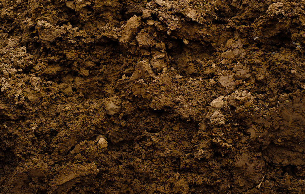 septic tank excavation in Addison